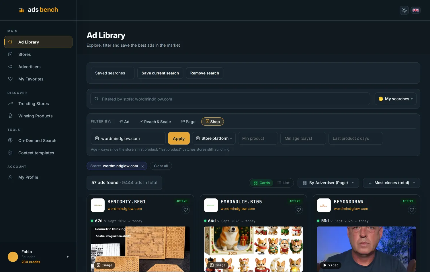 One store's ads grouped by advertiser, with several different pages pointing to the same domain