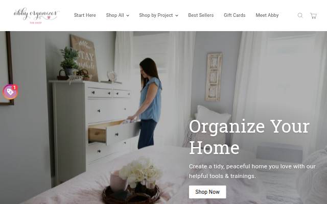 Abby Organizes storefront