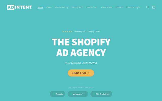 Ad Intent storefront