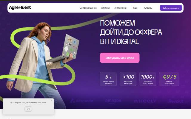 AgileFluent storefront
