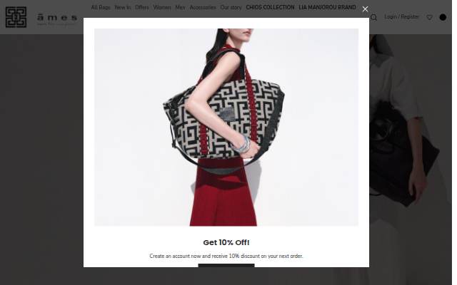 Ames the bags storefront