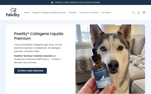 Pawlity EU storefront