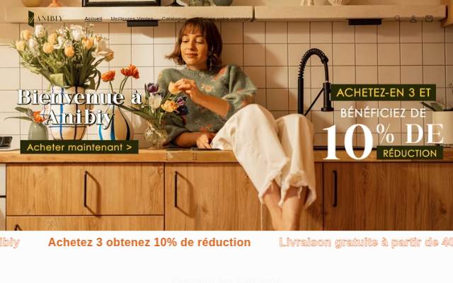 anibiy storefront