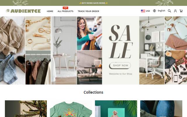AUDIENTCE storefront