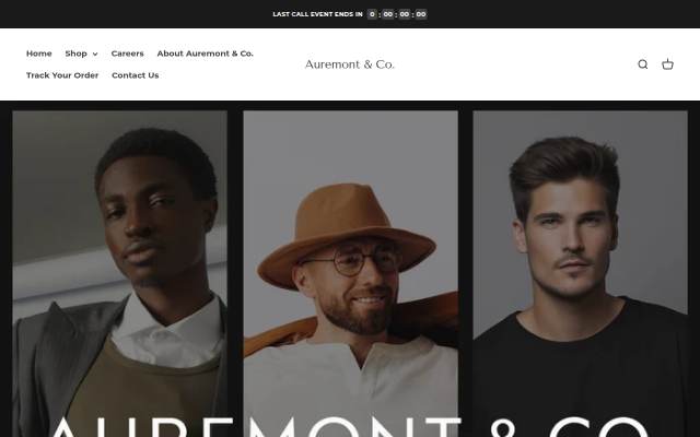 Startseite von Auremont &amp; Co.