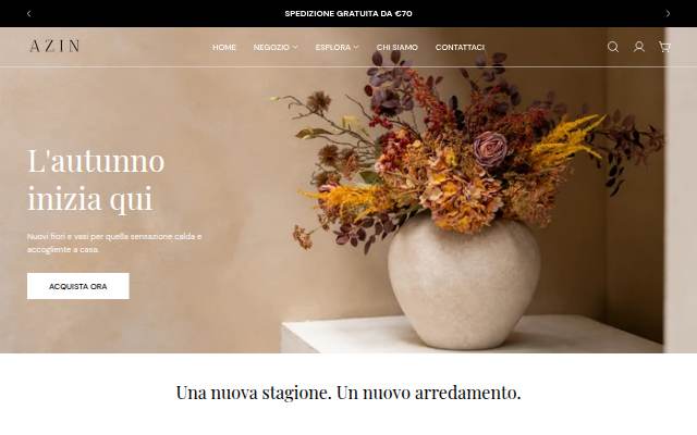 AZIN storefront