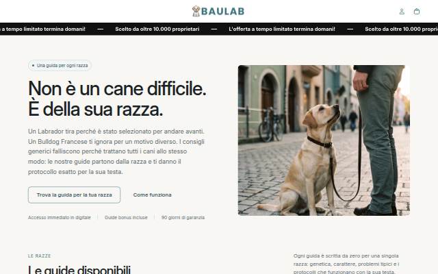 BauLab storefront
