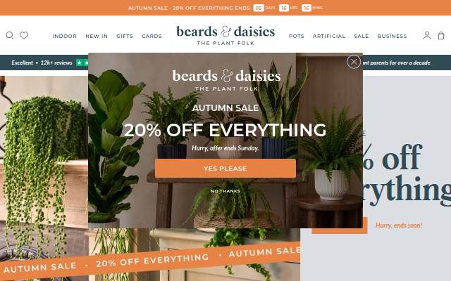 Beards &amp; Daisies storefront