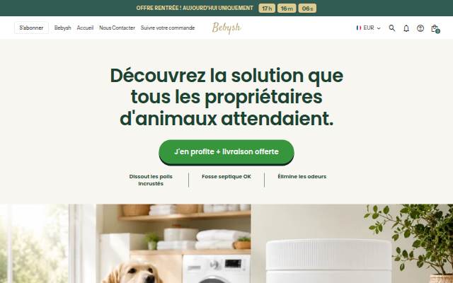 Bebysh storefront