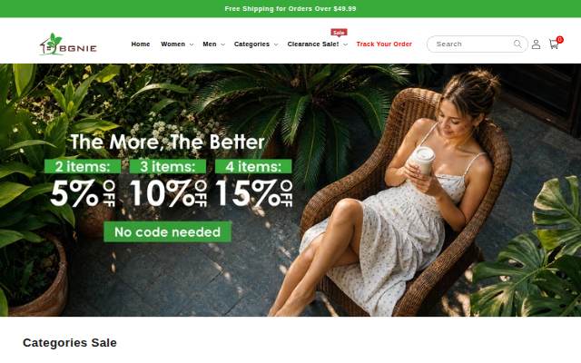 bgnie storefront