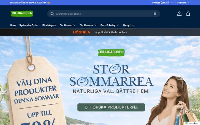 BilligaBoden storefront