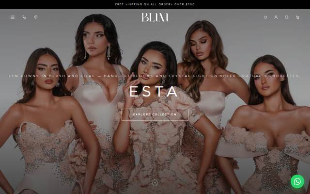 Startseite von BLINI Official