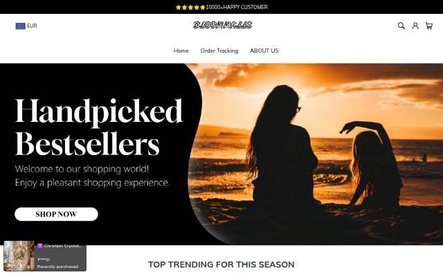 Bloommalls storefront