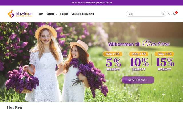 blowboon storefront