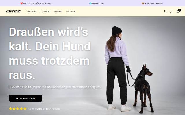 Startseite von BRZZ