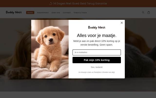 Buddy Nest storefront
