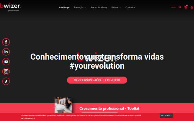 Bwizer storefront
