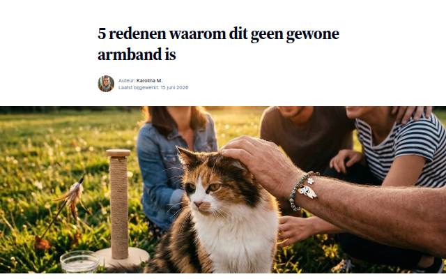 5 redenen waarom dit geen gewone armband is storefront
