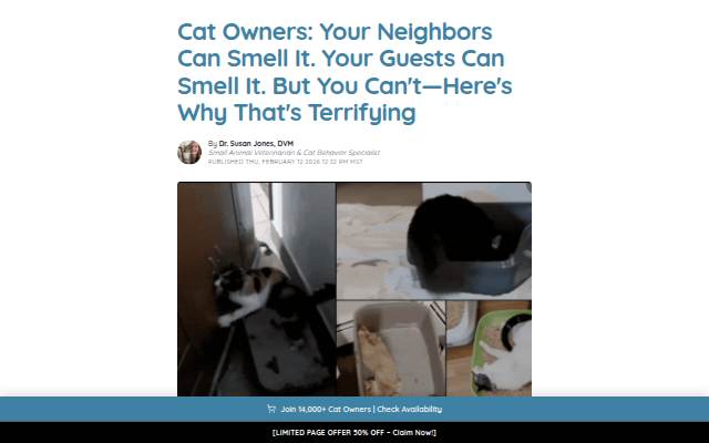 The Hidden Cat Smell Most Owners Can't Detect (But Guests Can) storefront