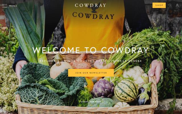 Startseite von Cowdray Estate