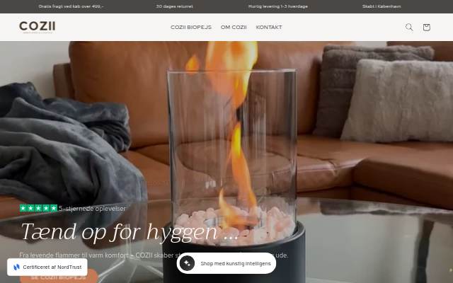 COZII.DK storefront