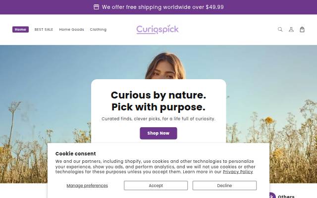 curiospick storefront