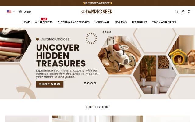 DAMPIONEER storefront