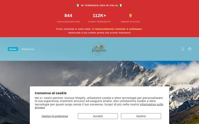 fropdiro storefront