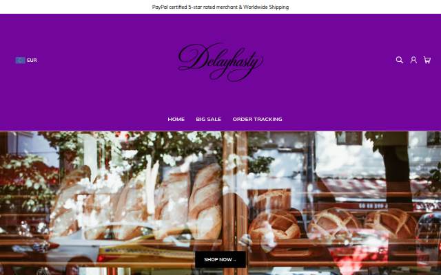Delayhasty storefront