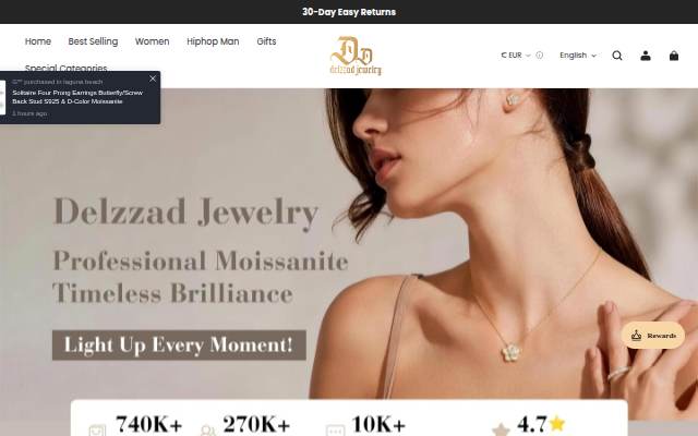 Delzzad storefront