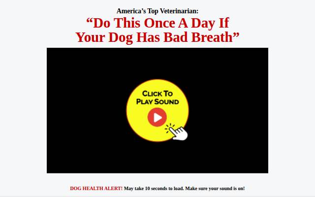 Reset Your Dog’s Dental Health storefront