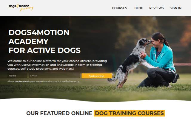 Dogs4Motion Academy storefront
