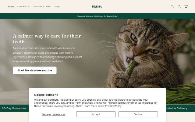 Drema Tech storefront