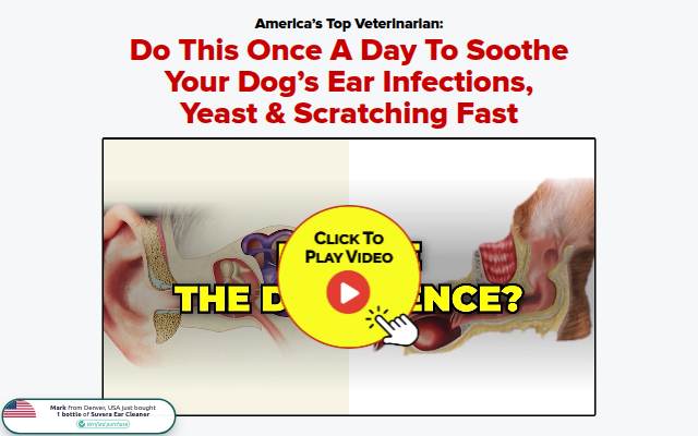 Reset Your Dog’s Ear Health storefront
