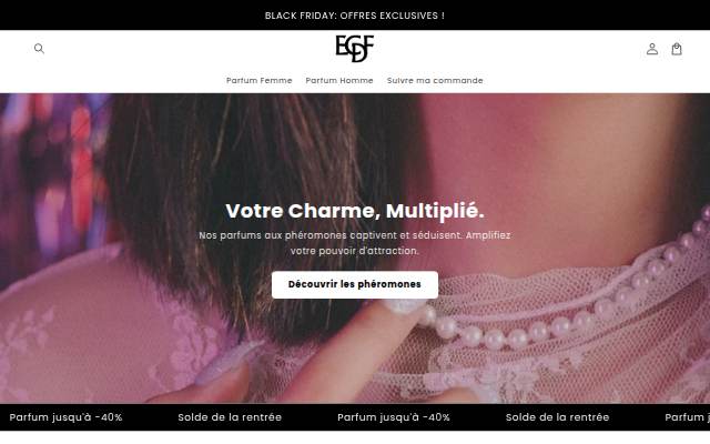 Startseite von ECDF