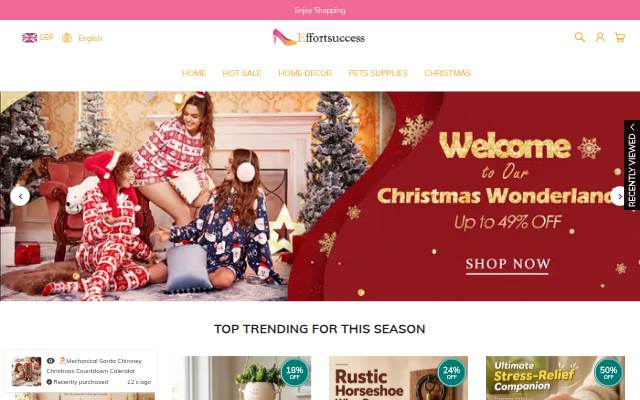 Effortsuccess storefront