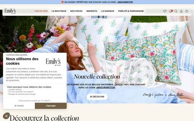 Emily's Pillow storefront