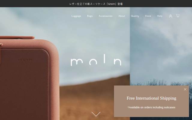 moln storefront