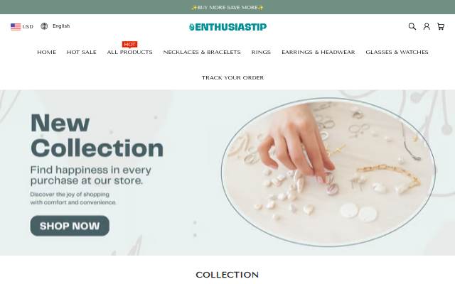 Enthusiastip storefront