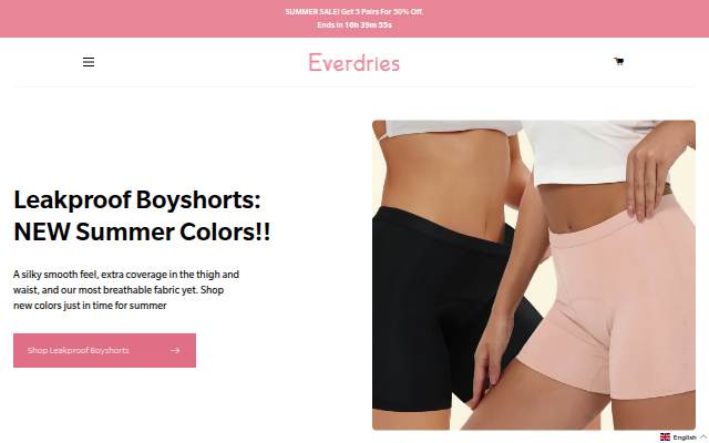 Everdries storefront