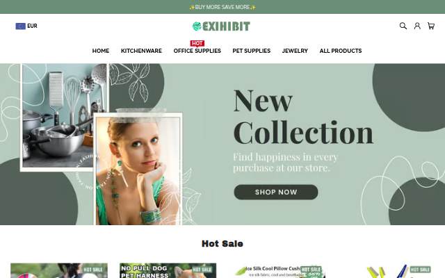 EXIHIBIT storefront