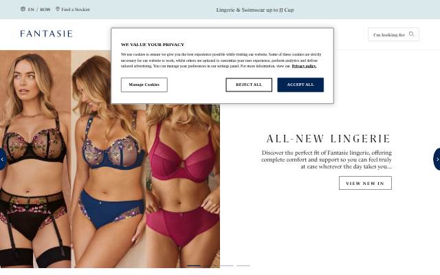 Bras, Lingerie &amp; Swimwear up to a JJ Cup storefront