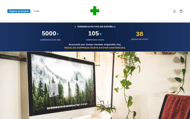 feldmxecho storefront