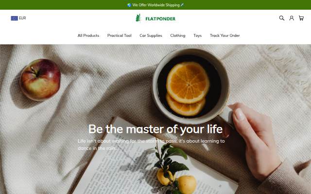 Startseite von Flatponder