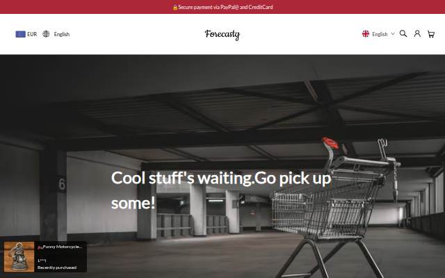 Forecastg storefront