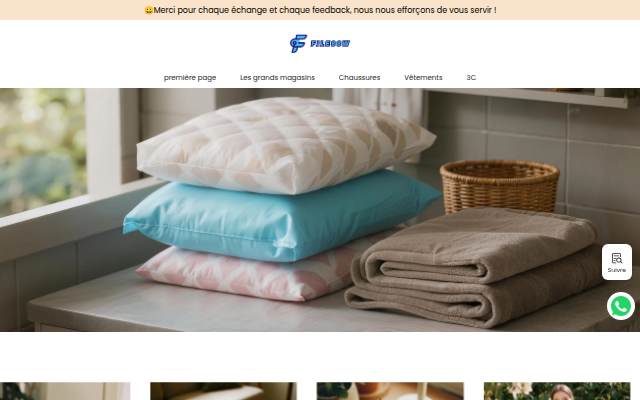fr.filessw.com storefront