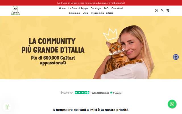 Montra da Gatto Con Personalità