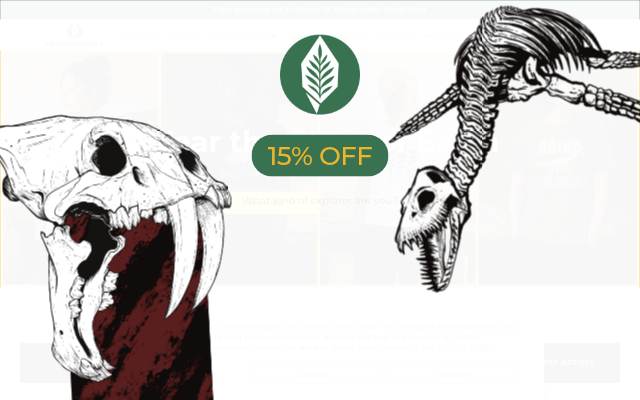 GEOCURIOSITY storefront