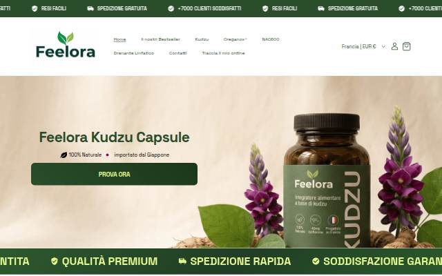 GetFeelora storefront