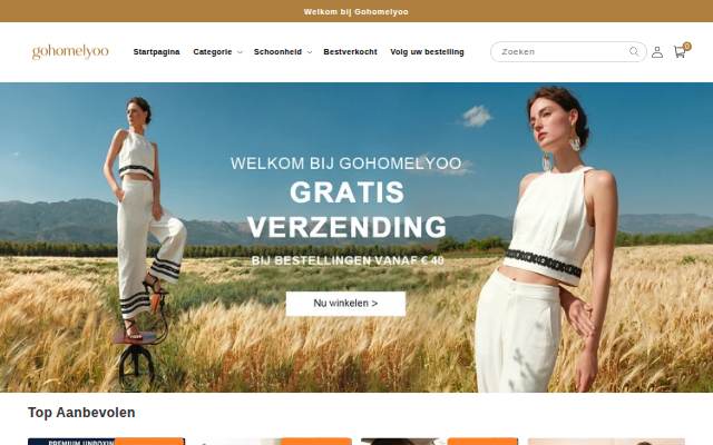 gohomelyoo storefront